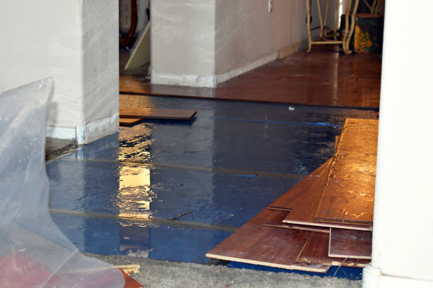 Professional Sewage Cleanup technician working in Stockton, NJ